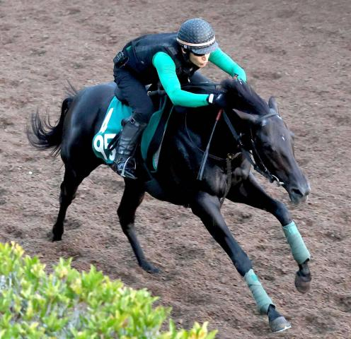 【POG】好仕上がりのサトノボルテクスに中竹調教師は期待大「初戦から楽しみ」　30日中京マイルでデビュー