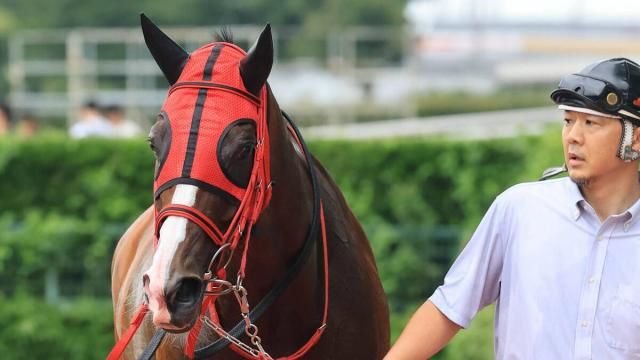 【ブリーダーズGC】レイバックスピンが3連勝で重賞初挑戦V　丹内祐次騎手はレース前から自信「勝てるかなと思いました」