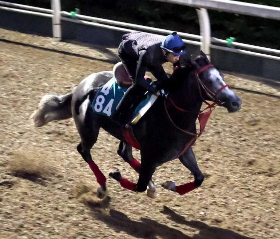 【中京2歳S】ジャスパートレノ　馬なり単走4F54秒2　清水助手「申し分のない追い切りでした」