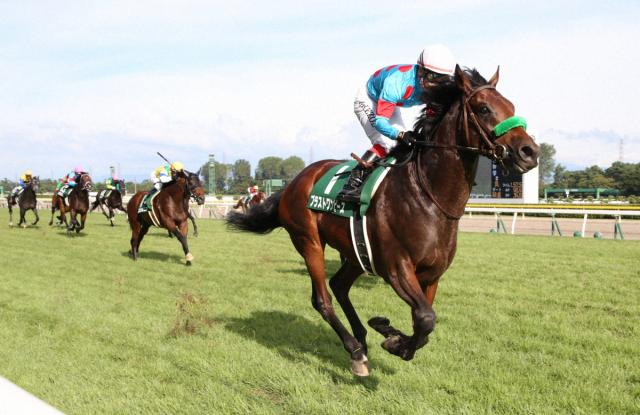 新潟記念Vから有馬V「ブラストワンピースの道」を歩むのは…