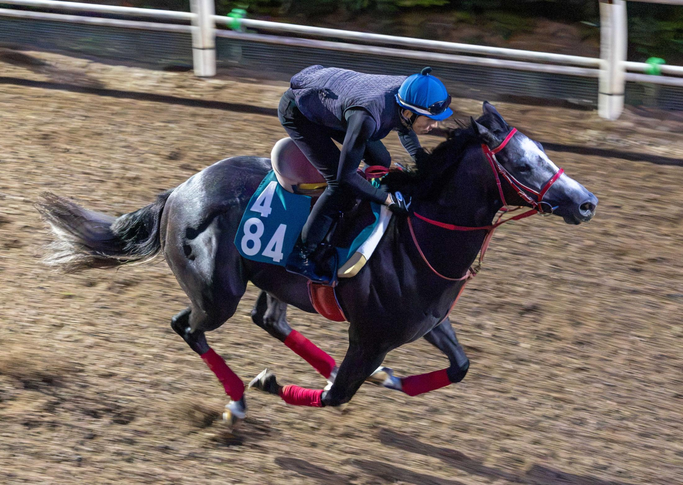 【中京２歳Ｓ】ジャスパートレノ　気迫十分　同厩フロムダスクで重賞Ｖの新コンビ中井が導く