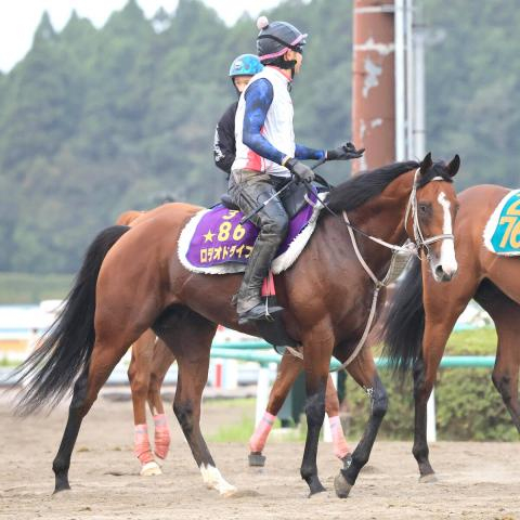 【新潟記念】ルメール騎手騎乗の3歳マイル王・ロデオドライブは3枠3番　川田将雅騎手騎乗のダノンシーマは7枠8番