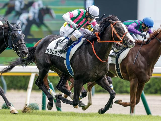 【週末情報】日本海S制してクラス突破だ！ サダムオプシスに平田師「楽しみ」/馬三郎のつぶやき