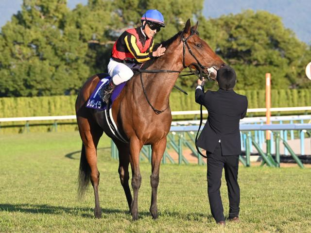 【有力馬動向】レガレイラが登坂、柔らかみのあるフットワークは健在！/馬三郎のつぶやき