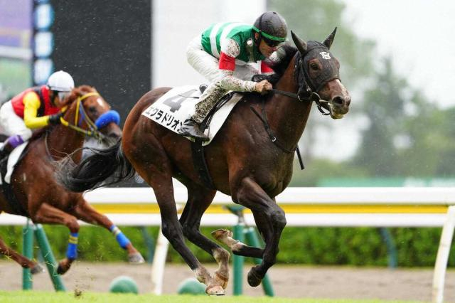 【新潟4R・新馬戦】断然人気のエクラドリオンが迫力満点の好位抜け出し