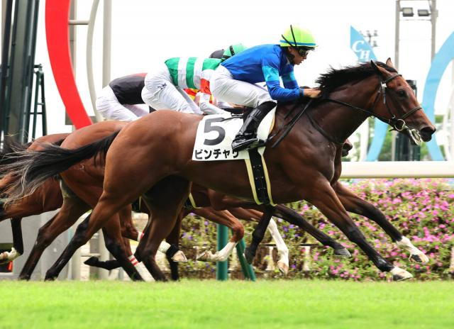 【中京3R・2歳新馬】ビンチャリが半馬身差の完勝　岩田望来騎手「差してからは楽でした」　バーイード産駒初戦のインティサールは2着