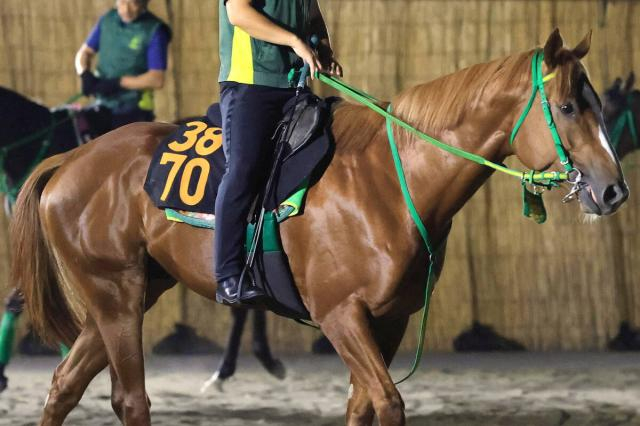 【不来方賞】ホリエモンの愛馬イッテラッシャイは2枠2番　武豊騎手とコンビのシーズザスローンは6枠7番　枠順確定