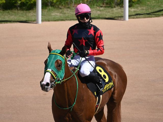 【盛岡・不来方賞枠順】鳳雛S覇者イッテラッシャイは2枠2番 ジャパンダートクラシックの前哨戦