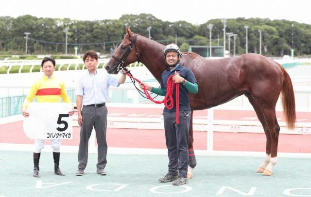 【阪神アーバン競馬プレーバック】オーナーゆかりの血統　コパノジャマイカが新馬戦勝ち