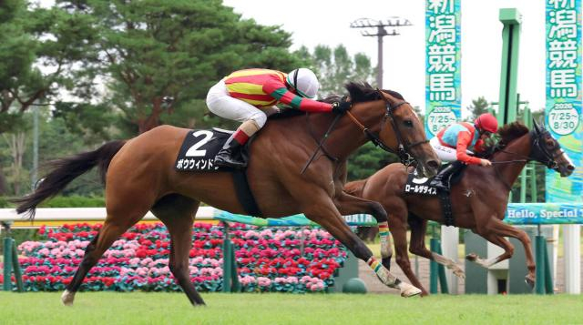 【新潟7R・赤倉特別】ゴール寸前で差され惜しくも2着...ミシェル騎手「フランス人ジョッキー同士の...」