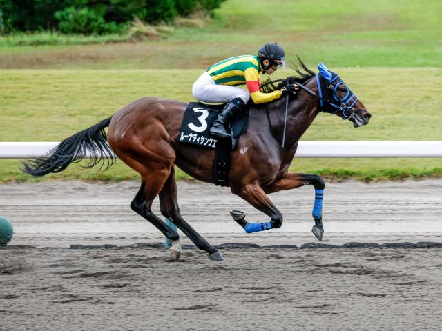 【新発田城特別レース後コメント】ルーナディサングエ菅原隆一騎手ら