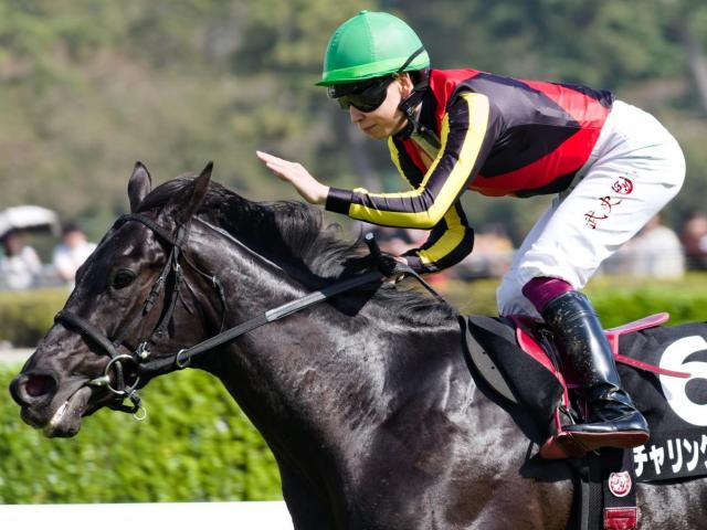 全兄はクロワデュノール チャリングクロスが3連勝でオープン昇級なるか