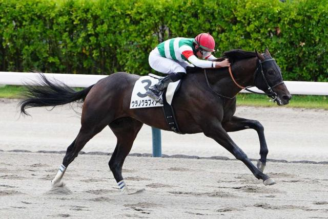 【新潟2R・2歳新馬戦】1番人気ウラノグラフィア3馬身差デビュー勝ち　岩田望「勝ち負けになると」