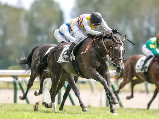 【2歳未勝利新潟3Rレース後コメント】ニシノリリックス石橋脩騎手ら