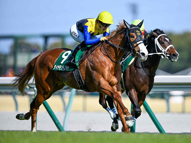 【セントウルS想定騎手】ダイヤモンドノットは川田将雅騎手、フリッカージャブは松山弘平騎手