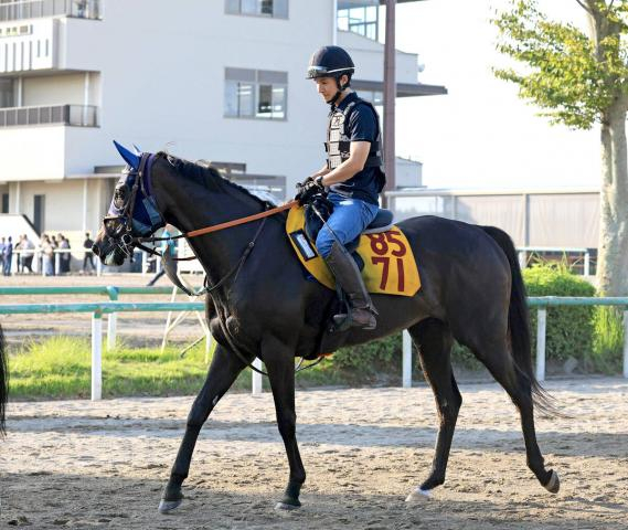 【京成杯AH・三戸の特注馬】ヴァルキリーバースは前走大敗からの巻き返しへ　好走舞台で重賞初タイトルを狙う