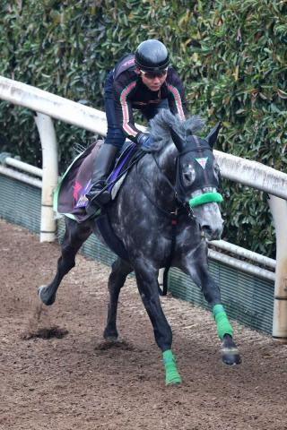 【セントウルS】ビッグシーザー　ブリンカー効果上々　陣営「開幕週で時計が速くなり過ぎなければ」