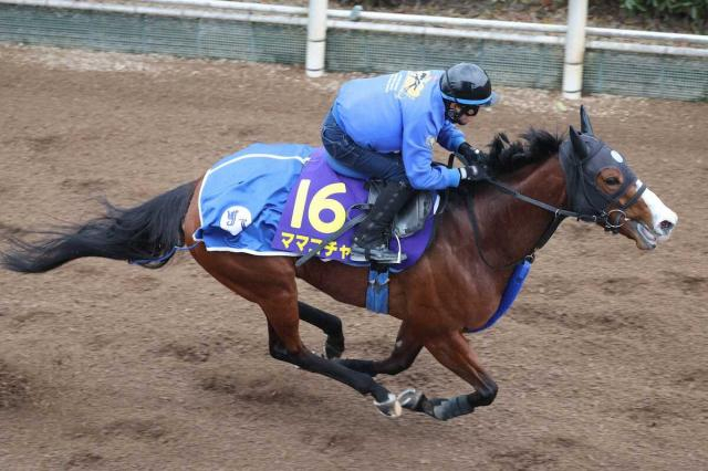 【セントウルS】ママコチャ　武豊が連続騎乗　陣営「今回の方が条件的に合いそう」