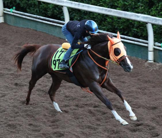 【阪神新馬戦】ハートノート　自信の千八起用　高野師「素質を感じているからこその緊張を感じます」