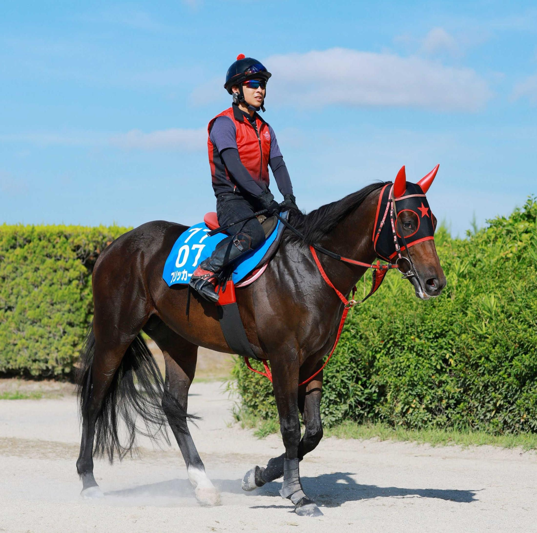 【セントウルＳ】フリッカージャブ　伸び盛りの４歳馬が重賞連勝で夏王者奪取だ　初の阪神にも西園翔師「パワーもあるので」