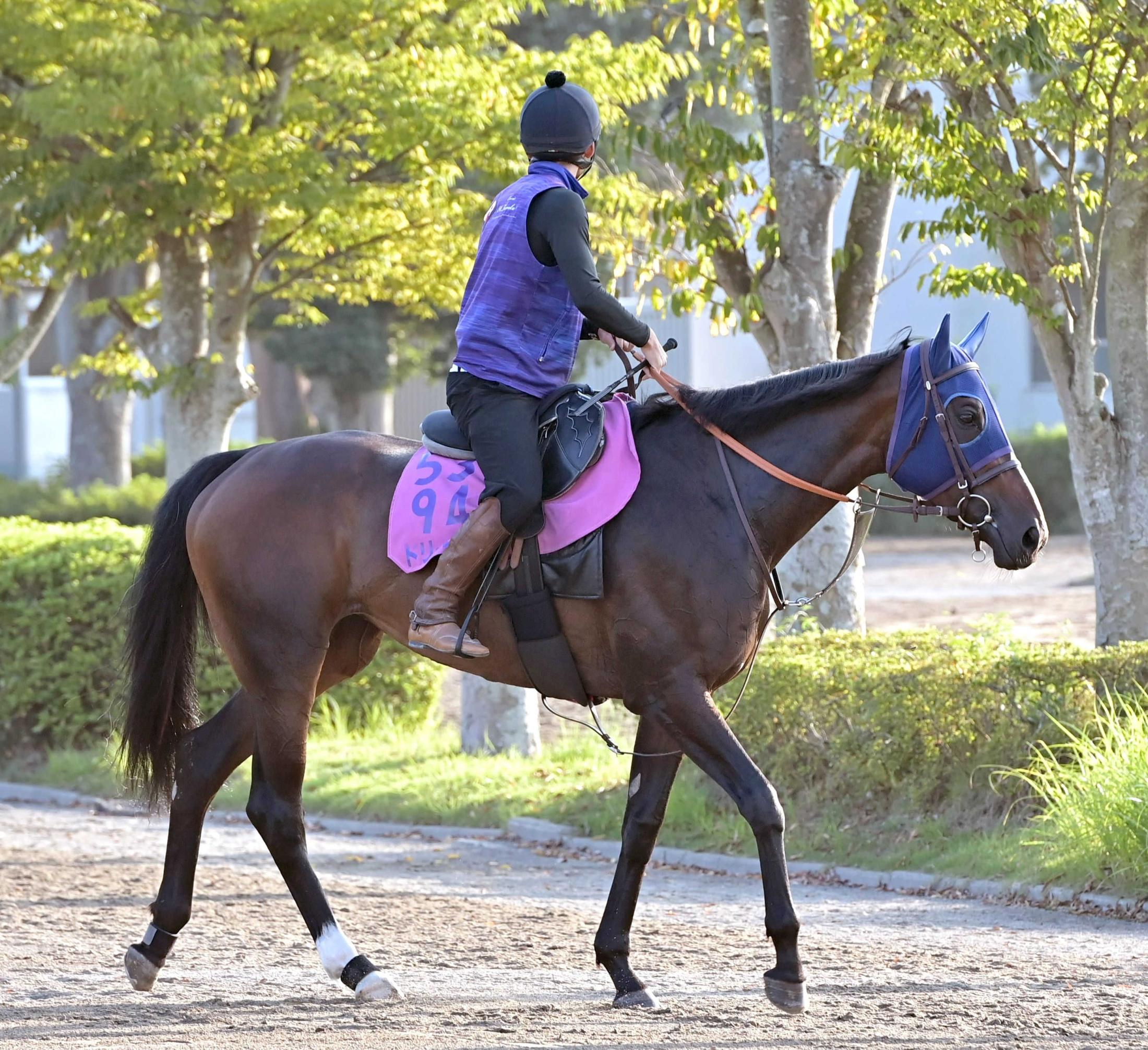【紫苑Ｓ】ドリームコア　ノームコアと母娘制覇だ！田中博師、天国の萩原清師へＶ届ける「わくわくするような活躍を先生に見せられたら」
