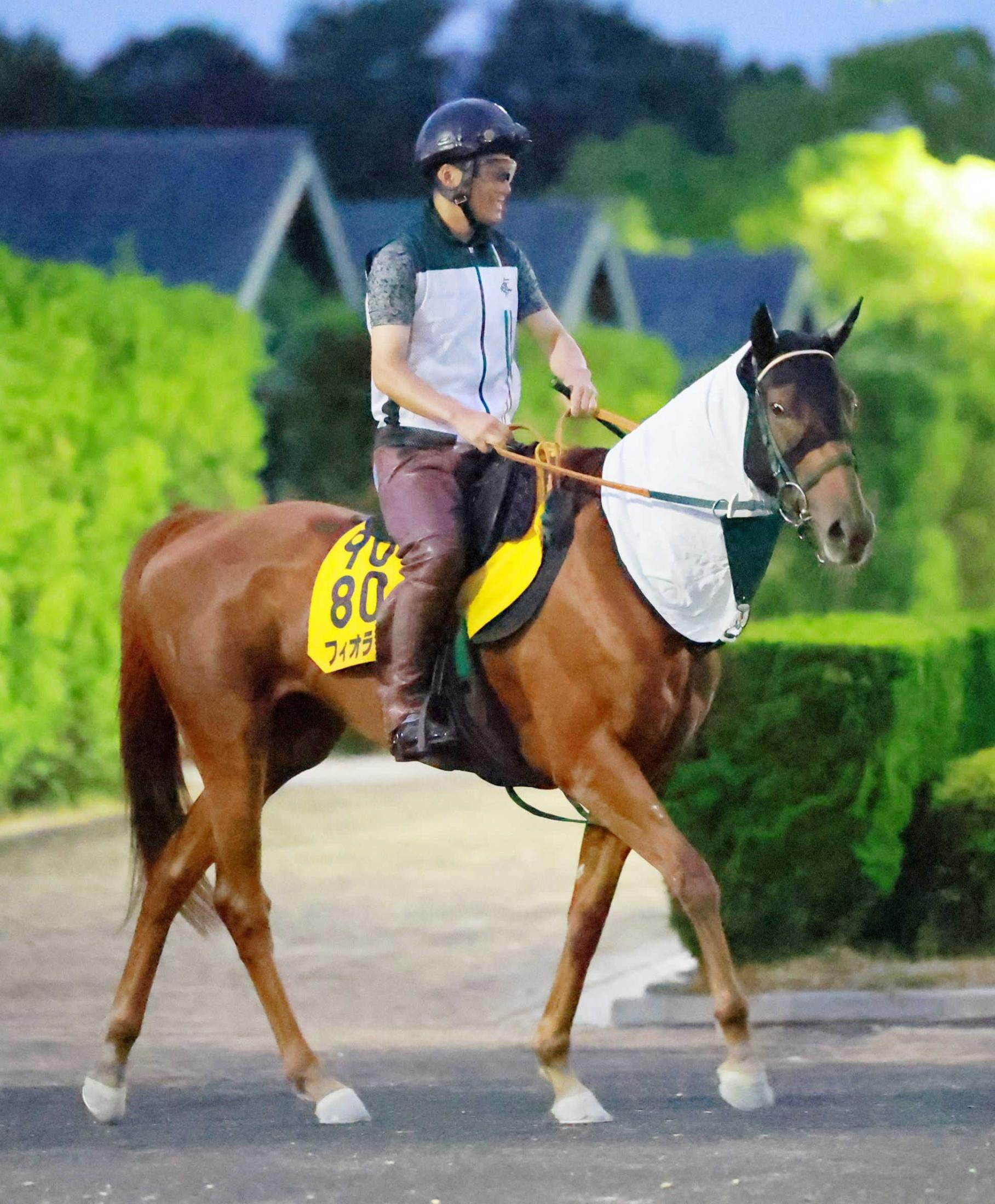 暑さ対策に馬のクールネック  開業１年目の柴田卓調教師が導入　夏季の調教時間も「コンパクトに」
