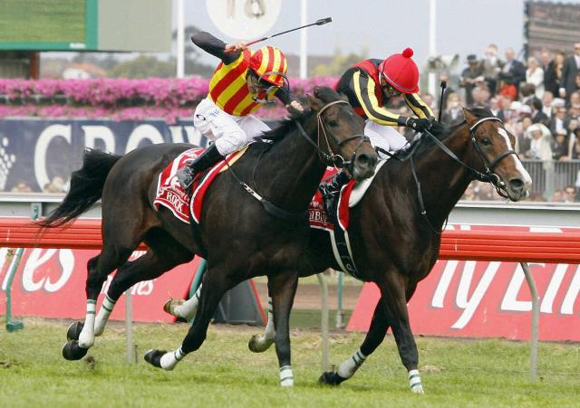 豪メルボルンC登録馬発表　日本調教馬はスティンガーグラスが登録「デルタブルースの勝利から20年…」