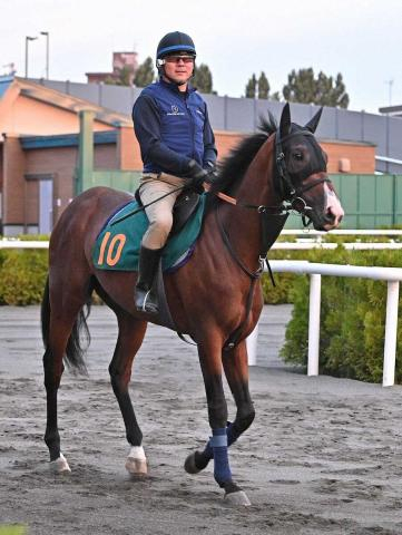 【札幌2歳S】デザートスピリット　状態には太鼓判　平岩師「疲れもなく順調」
