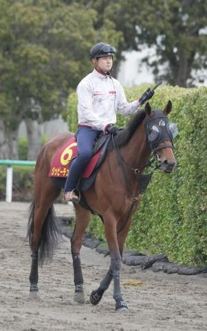 【紫苑S】ジッピーチューン　骨折明け大丈夫　初の2000m戦も「心配してません」