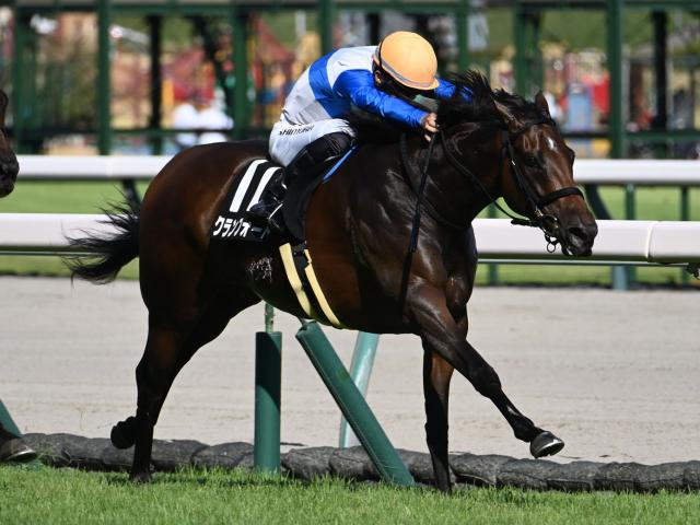 【京成杯AH展望】秋のマイル重賞は牝馬クランフォードに注目