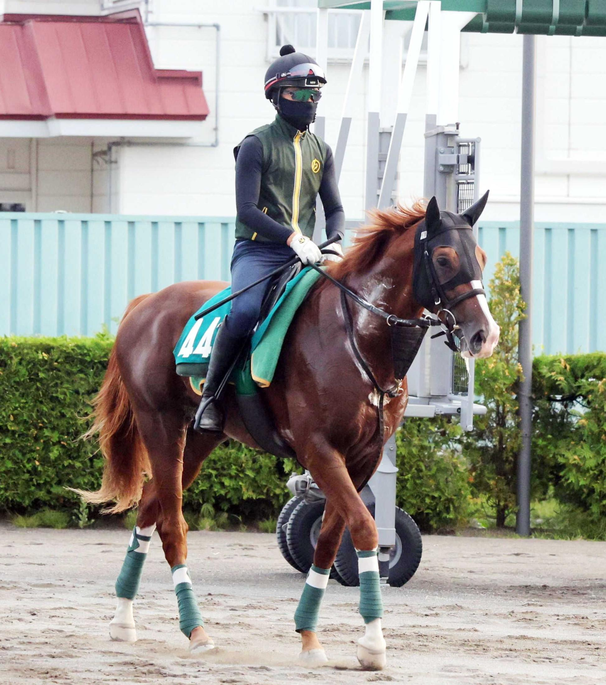 【札幌２歳Ｓ】ノヴァヴェローチェ　王道へ第一歩　エフフォーリア初年度産駒期待の星　父の届かなかったダービー制覇を