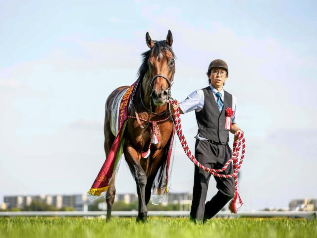 【セントライト記念想定】ゴーイントゥスカイ、サノノグレーターなど11頭