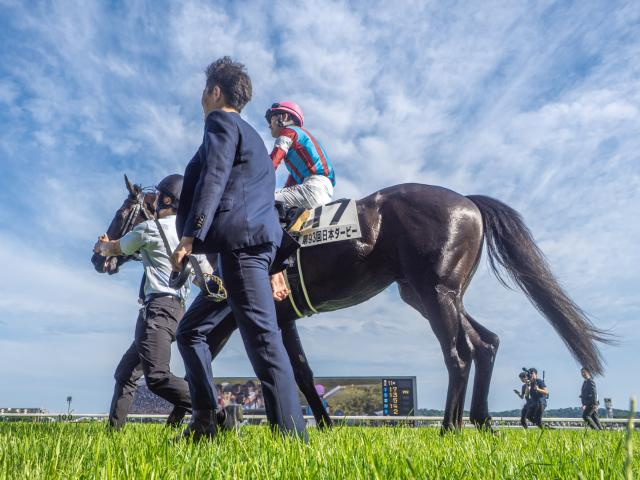 【有力馬動向】ロブチェン余力十分に力強い脚さばき/馬三郎のつぶやき