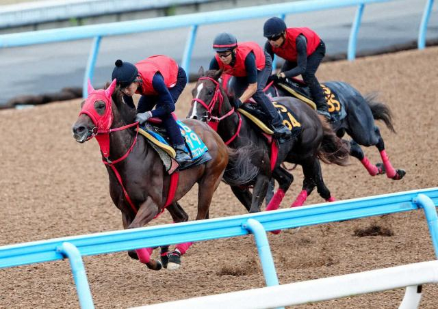 【京成杯AH】エコロブルーム　脚さばき軽快　加藤征師「動きは言うことない」