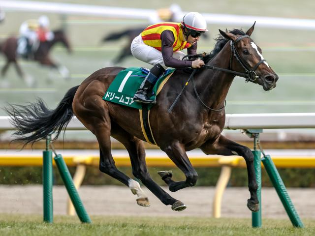 【紫苑S展望】秋華賞へ向けた重要な一戦、オークス2着馬ドリームコアが中心