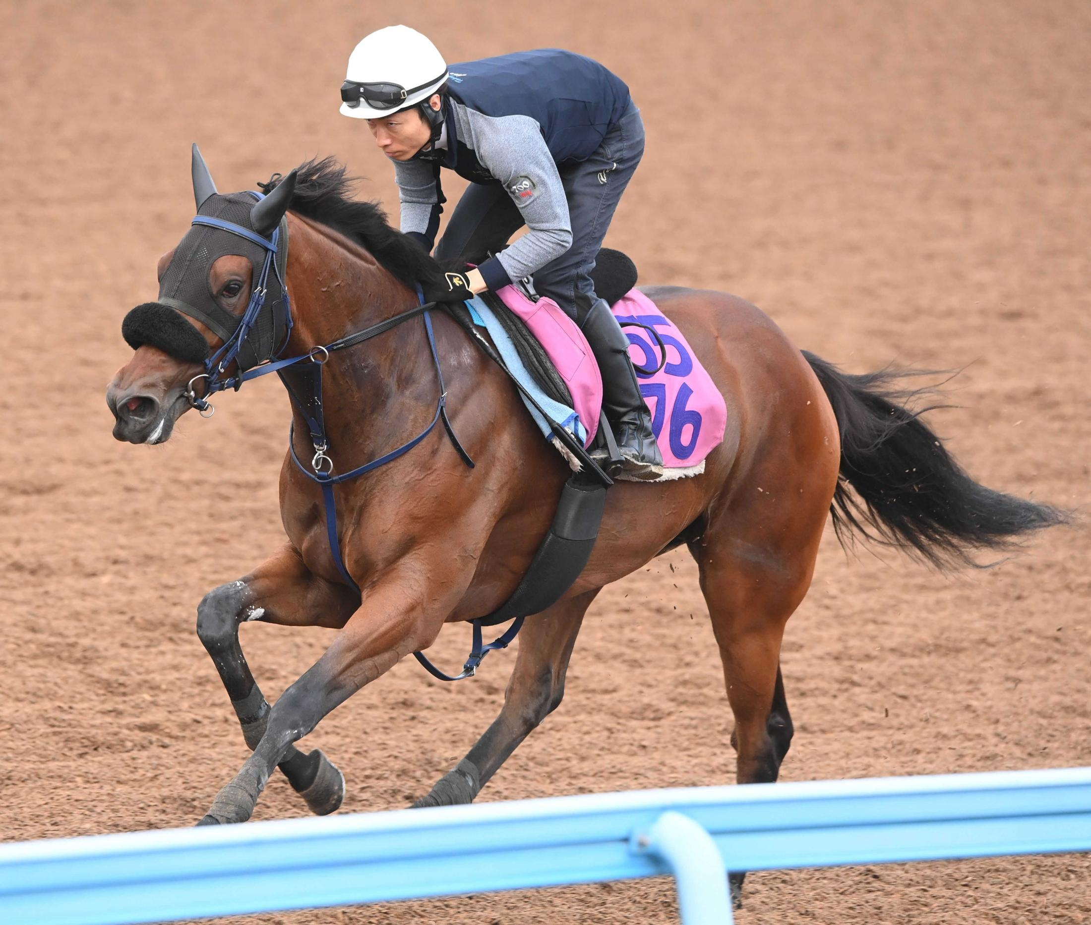【紫苑Ｓ】マスターソアラ　半年ぶり実戦へ好感触　初コンタクトの大野「雰囲気いい」　蛯名正師は気性面の成長実感