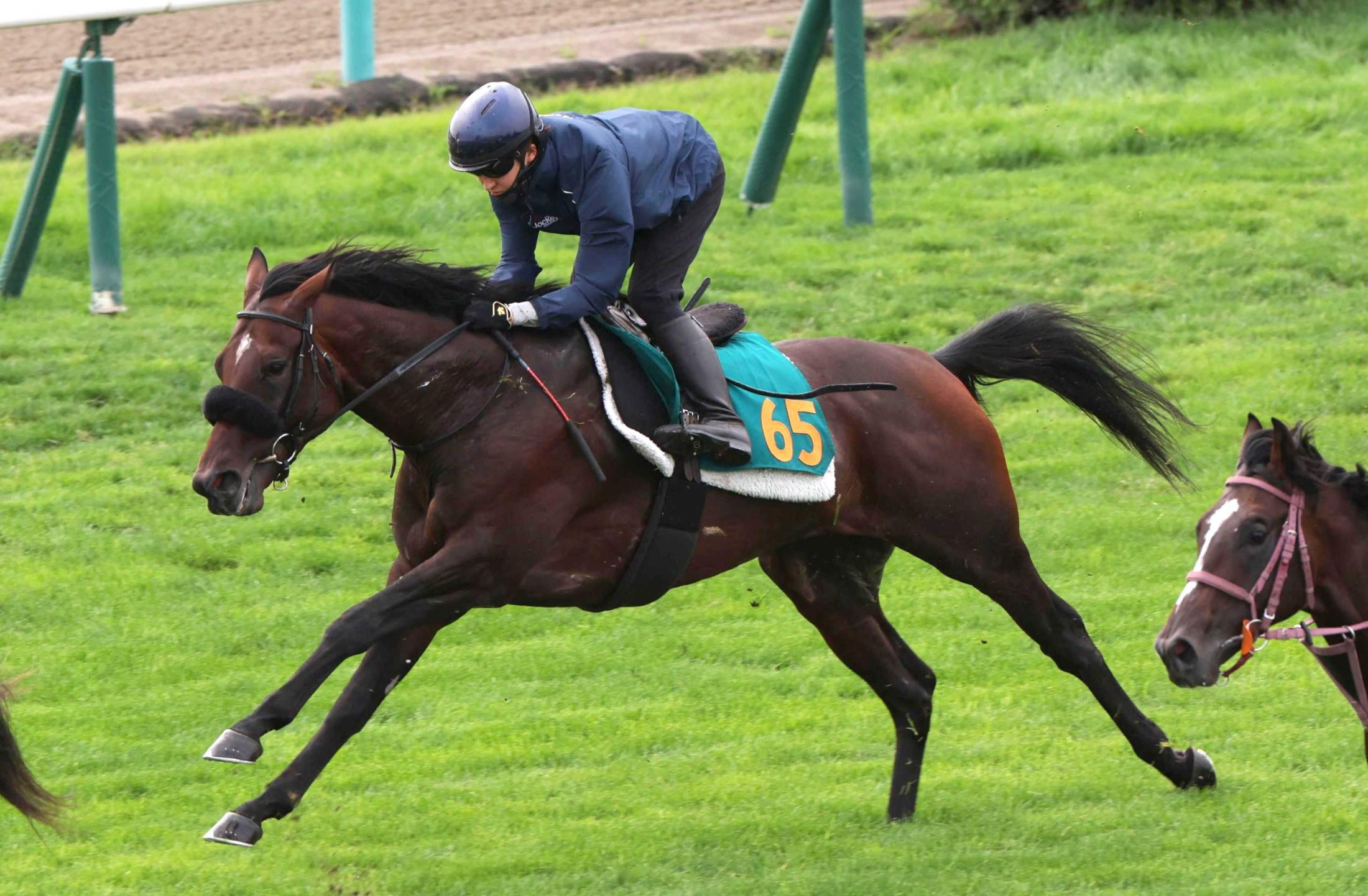 【札幌２歳Ｓ】ショウナンガレオン　フライトライン産駒初重賞Ｖへ最終追いで余力十分　加藤士師「ここ勝ってクラシックに」