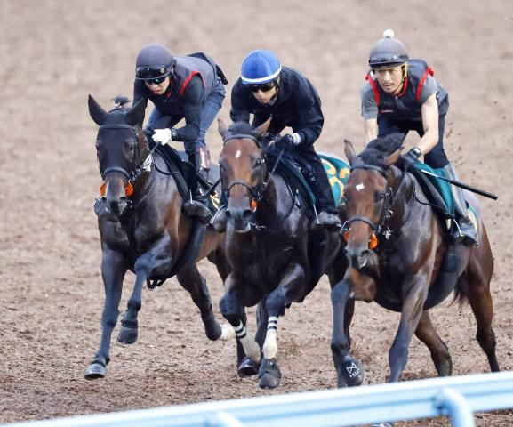 【京成杯AH】フォルテアンジェロ初のマイル戦で飛躍へ　上原佑調教師「中山は力を発揮出来る舞台。秋は活躍してほしい」
