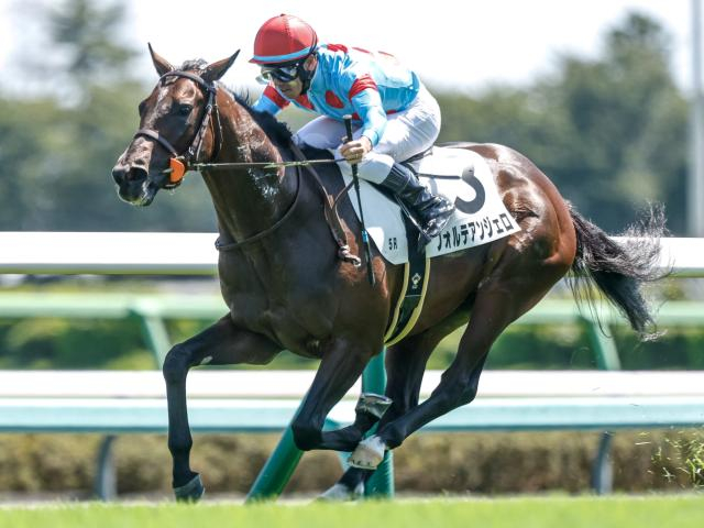 【京成杯AH枠順確定】フォルテアンジェロは2枠4番、レザベーションは5枠9番