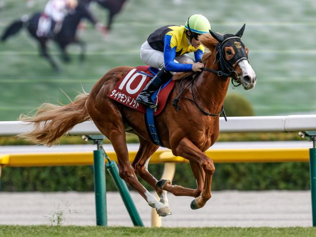 【セントウルS枠順確定】ダイヤモンドノットは3枠5番、フリッカージャブは2枠3番