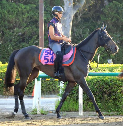 【注目馬動向】イクイノックスの全妹イクシードがローズSに参戦　カーネーションC勝利後から休養