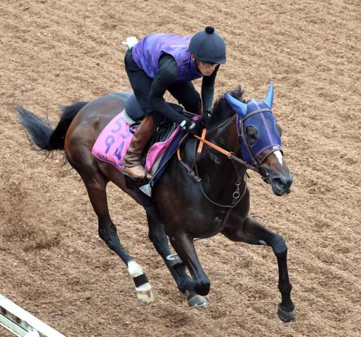 【紫苑S】オークス2着以来の実戦ドリームコアは7枠9番　同4着リアライズルミナスは3枠3番