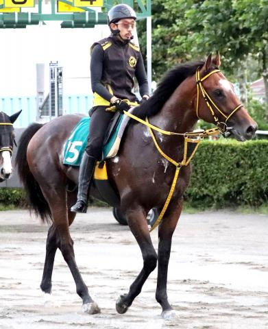 【札幌2歳S・金曜気配】未勝利で挑むハヤブサカツオーが“前日追い”で一発へ　陣営「上積みがありそう」