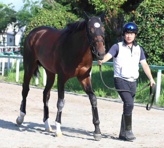 【5日の注目・中山7R】半姉は22、23年の安田記念を連覇したソングライン　“崖っぷち”の良血馬が初勝利つかめるか