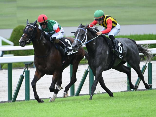 【西宮Sレース後コメント】コルレオニス M.デムーロ騎手ら