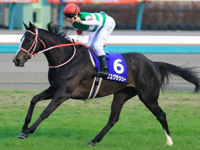 名牝リスグラシューの3番仔 リスグロワールがD.レーン騎手で初陣だ