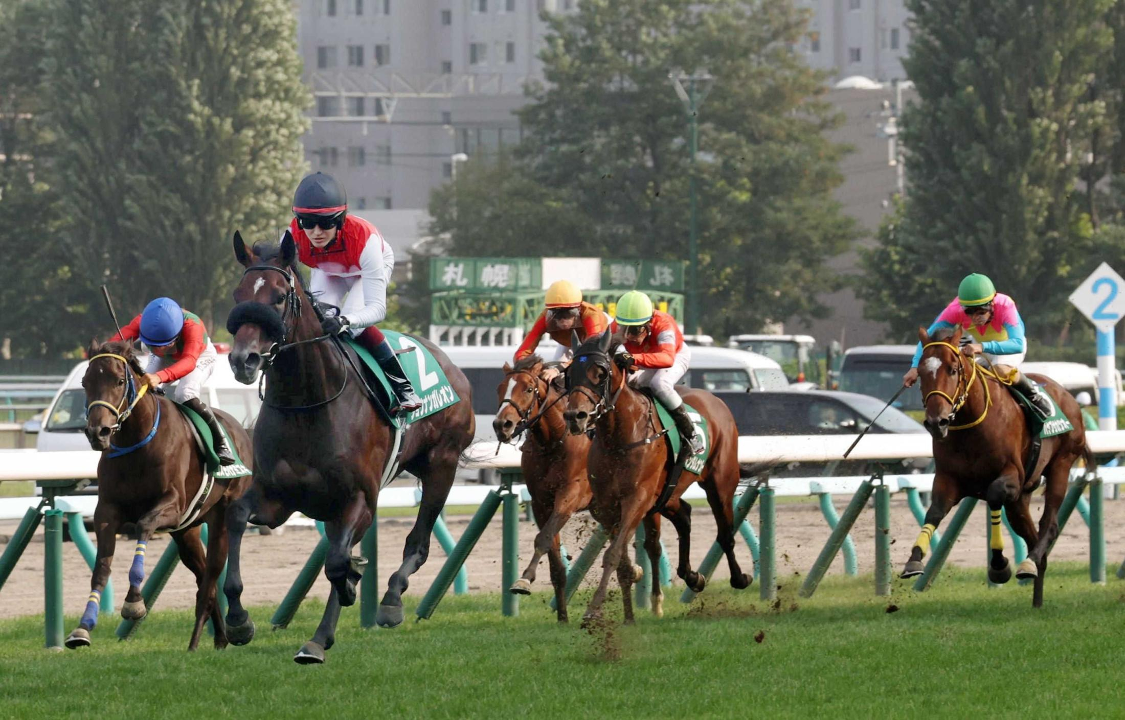 【札幌２歳Ｓ】ショウナンガレオン　期待応えて重賞初制覇　鮫島駿が絶賛「馬が自信にあふれていた」