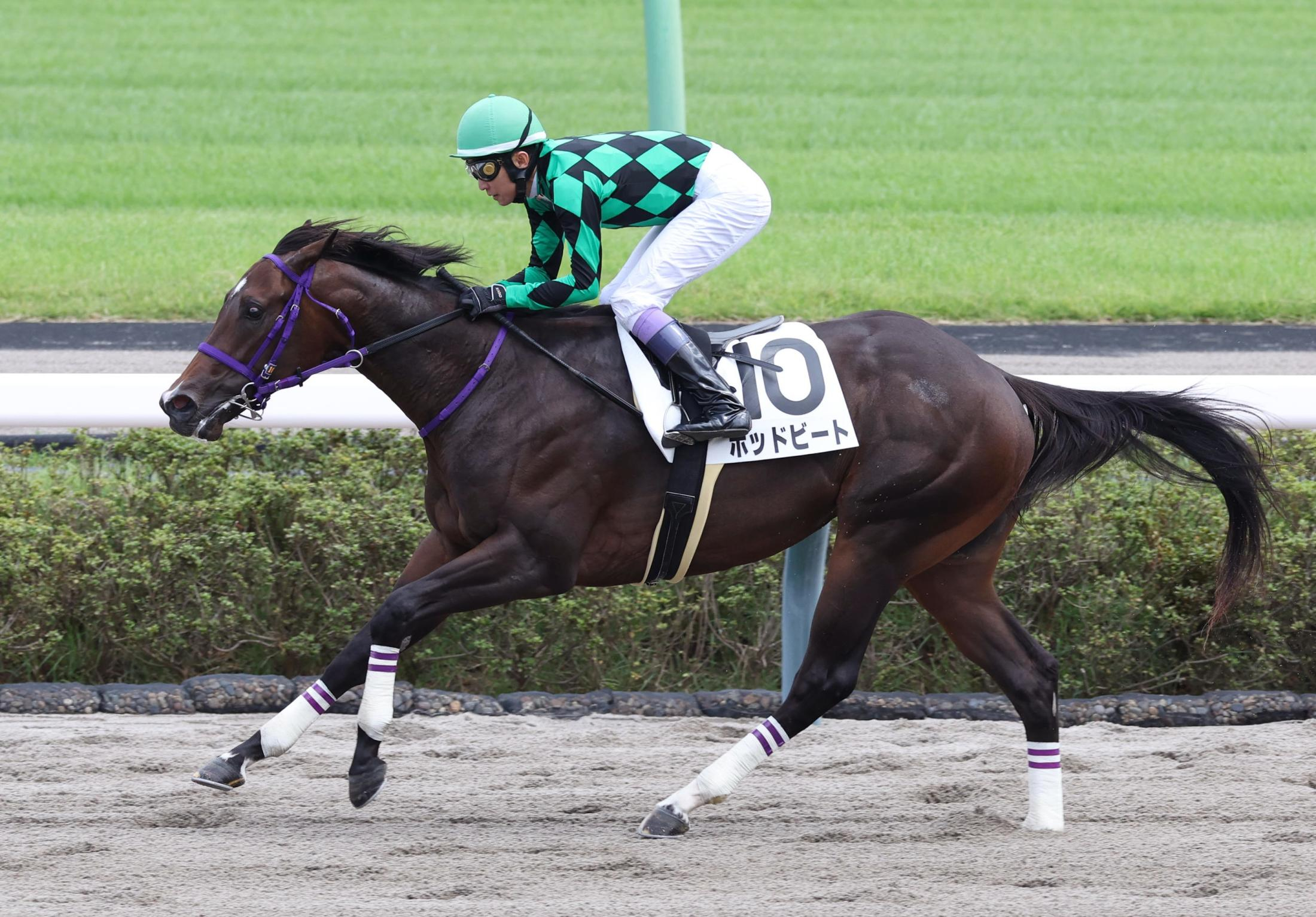 【新馬戦】ポッドビート　１０馬身差大勝デビュー　武豊が感心「いいスピード。抑え気味でもあれだから」