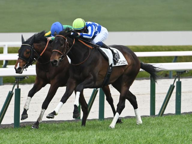 【紫苑S予想】秋華賞へ向けた重要ステップ 2度の急坂越える中山2000mは体力勝負