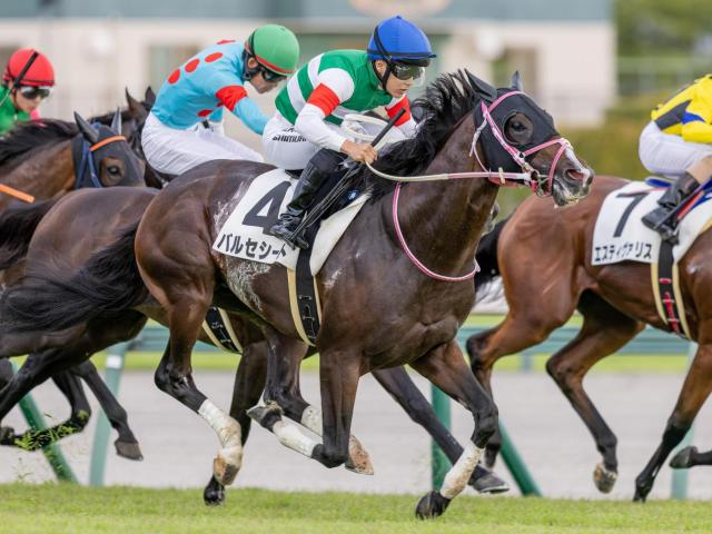 半姉はレシステンシア バルセシートが2連勝なるか